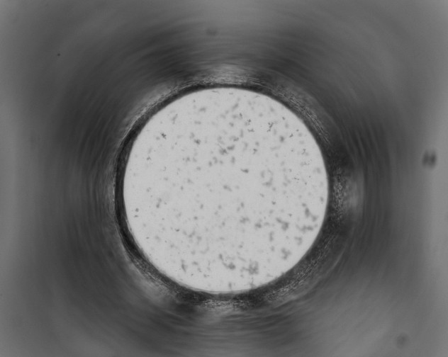 X0000099970534200806201404