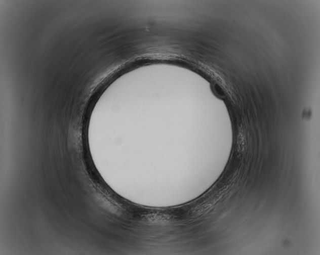 X0000099970535200806201404