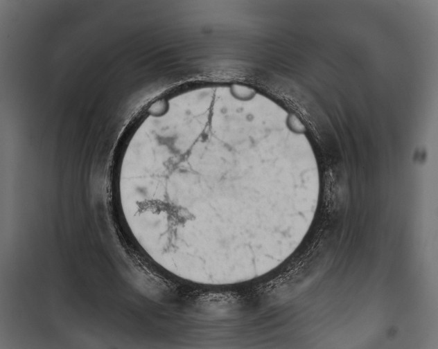 X0000099970536200806201404