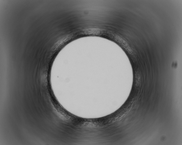 X0000099970538200806201404