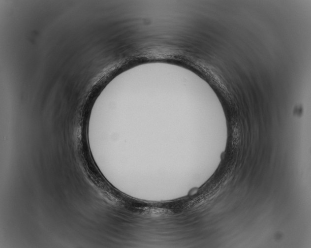 X0000099970539200806201404