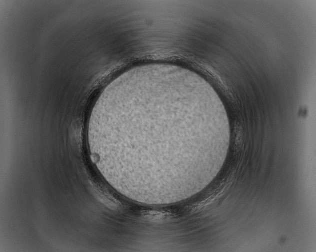 X0000099970542200806201404