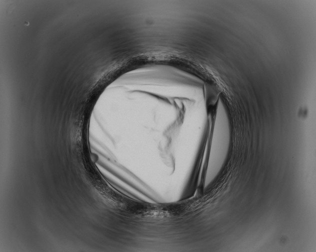 X0000099970543200806201404