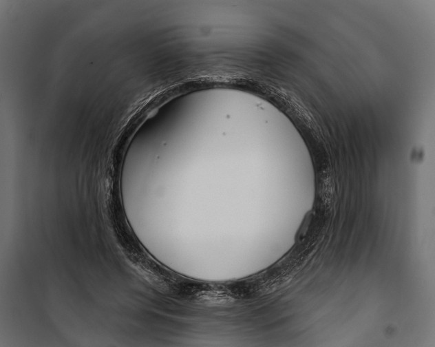 X0000099970544200806201404