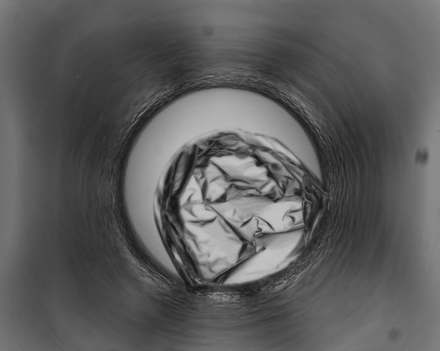 X0000099970546200806201404