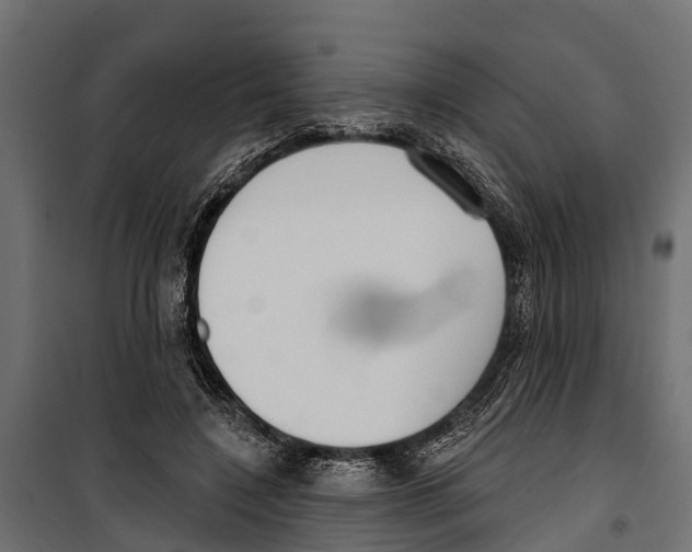 X0000099970548200806201404