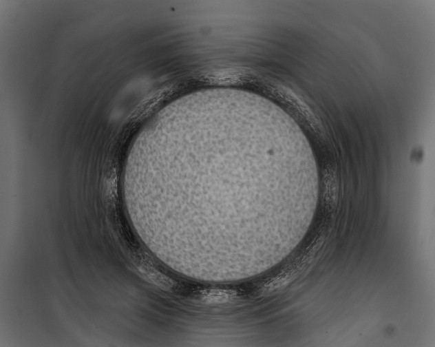 X0000099970549200806201404