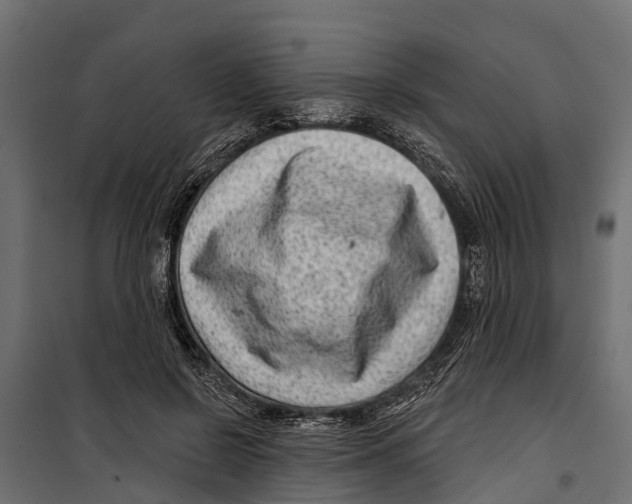 X0000099970550200806201404