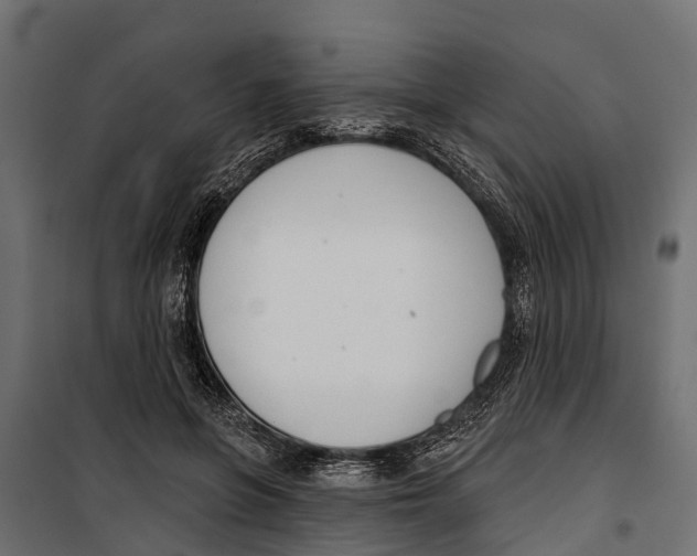 X0000099970551200806201404