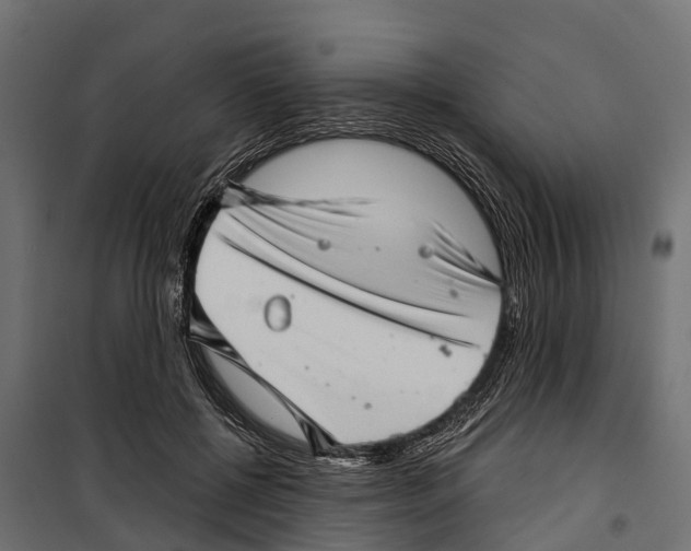 X0000099970552200806201404