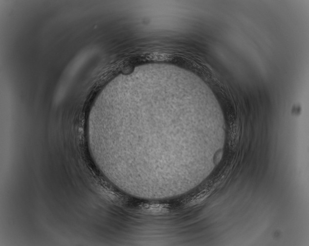 X0000099970553200806201404