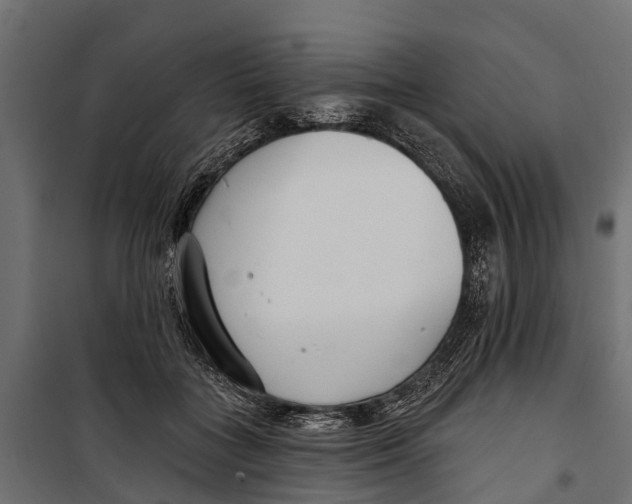 X0000099970555200806201404