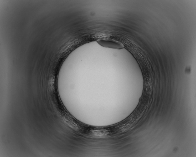 X0000099970556200806201404