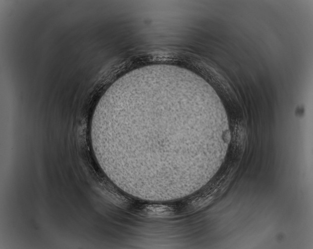 X0000099970557200806201404