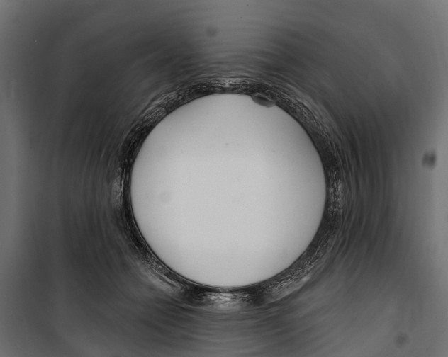 X0000099970558200806201404