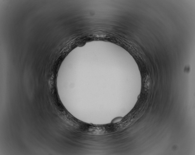 X0000099970559200806201404