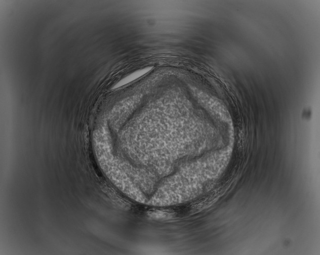 X0000099970561200806201404