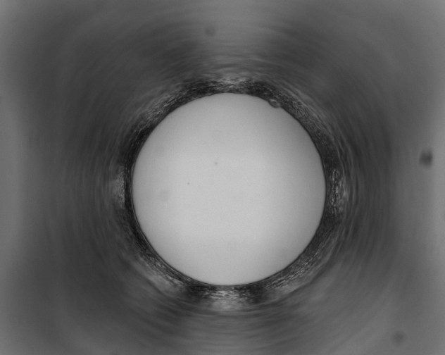 X0000099970562200806201404