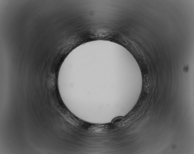 X0000099970563200806201404