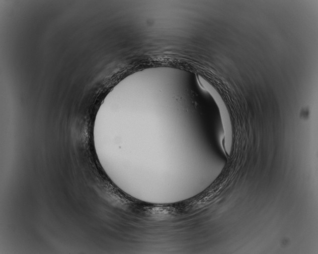 X0000099970566200806201404