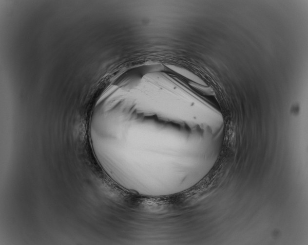 X0000099970568200806201404