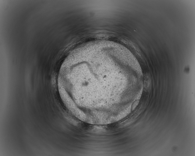 X0000099970573200806201405