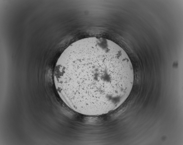 X0000099970575200806201405