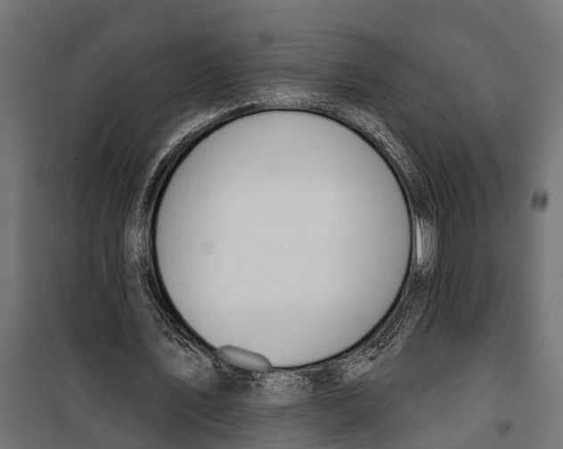 X0000099970579200806201404