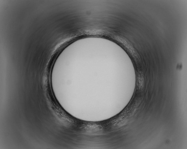 X0000099970583200806201404