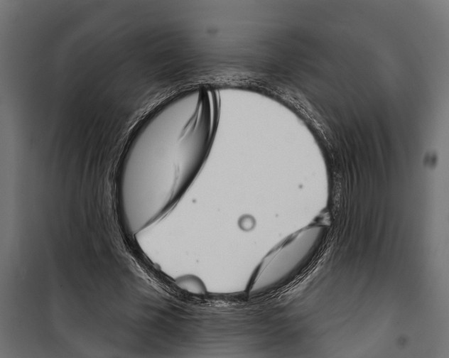 X0000099970585200806201404