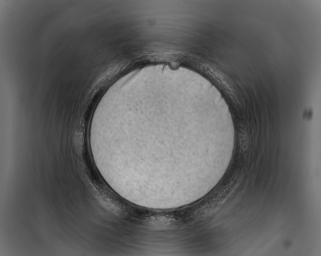 X0000099970586200806201404