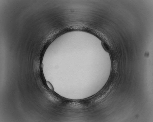 X0000099970589200806201404