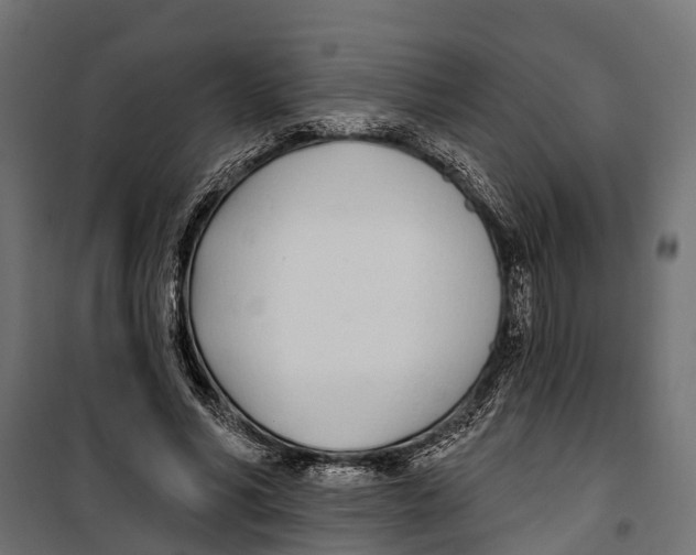 X0000099970590200806201404