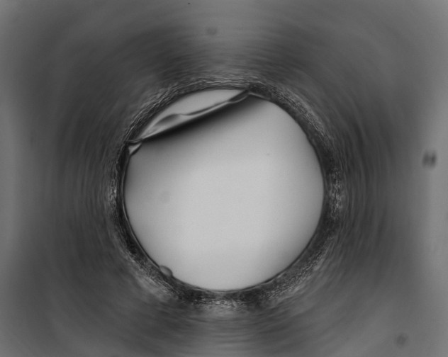 X0000099970593200806201404