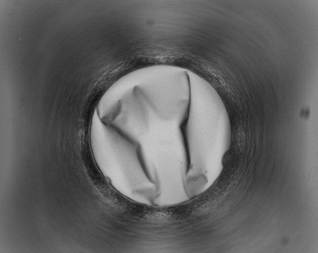 X0000099970594200806201404