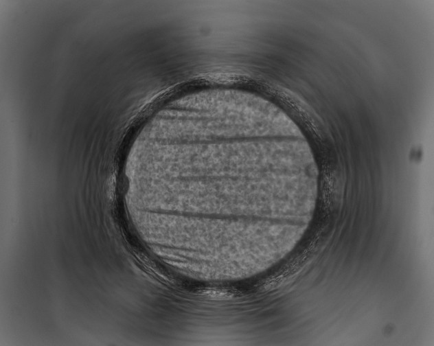 X0000099970596200806201404