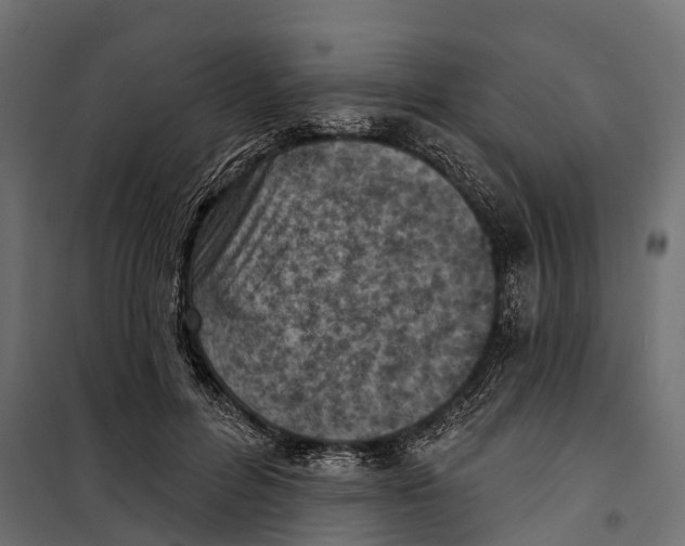 X0000099970600200806201403