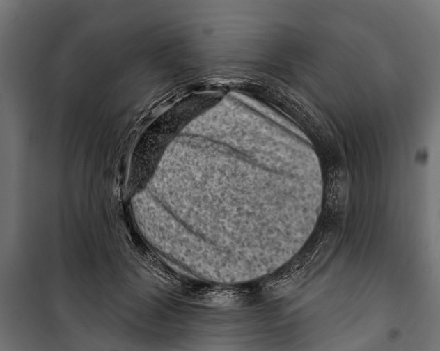 X0000099970604200806201403