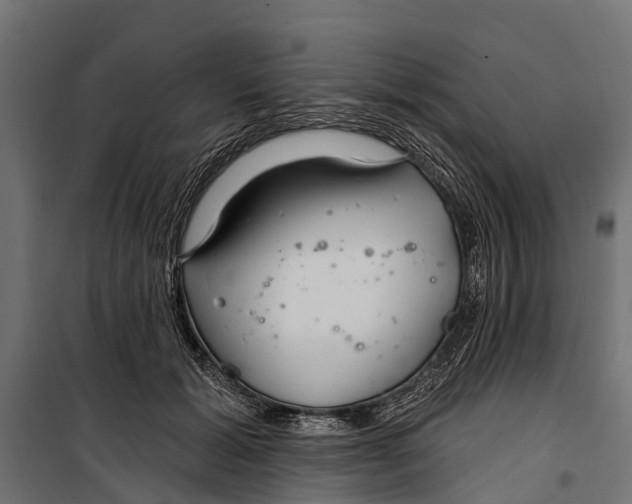 X0000099970605200806201403