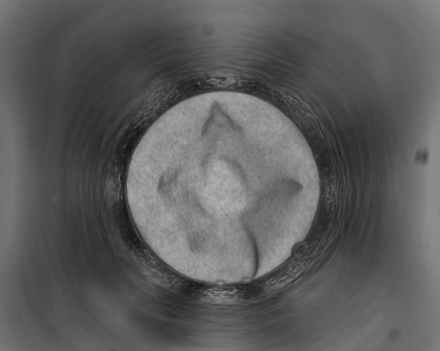 X0000099970606200806201403