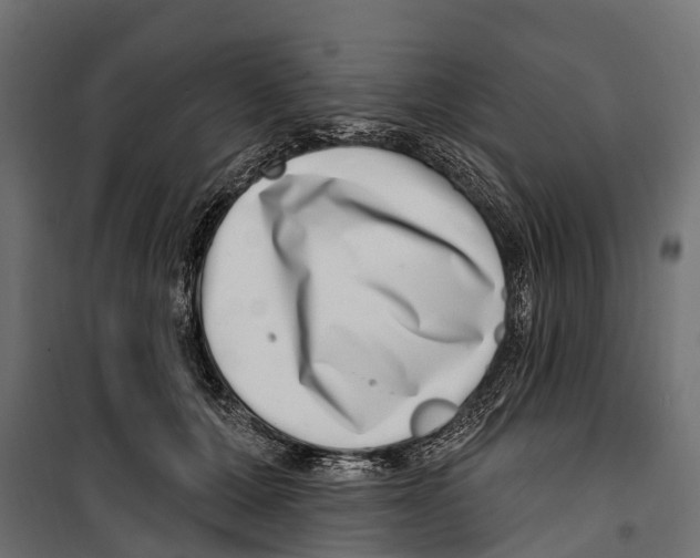 X0000099970607200806201403