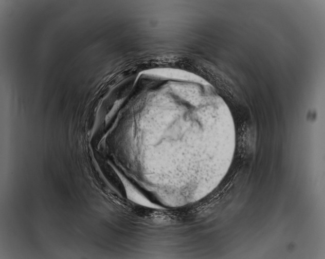 X0000099970608200806201403