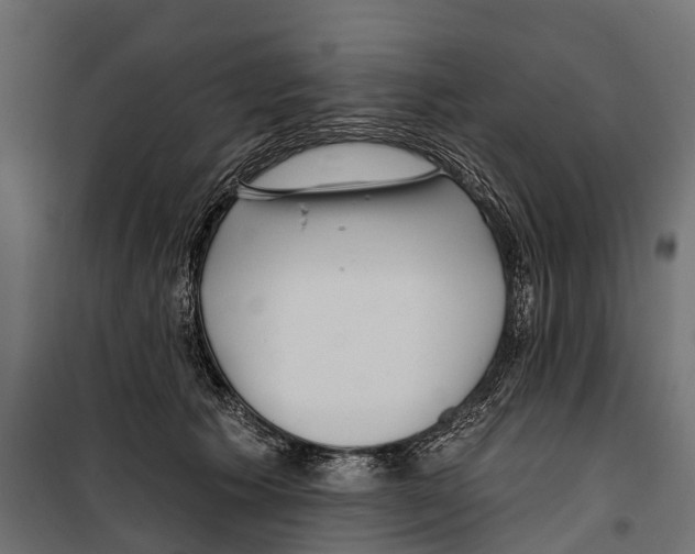 X0000099970609200806201403