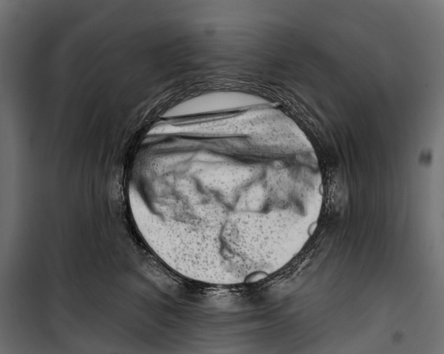 X0000099970616200806201403