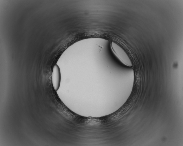 X0000099970617200806201403