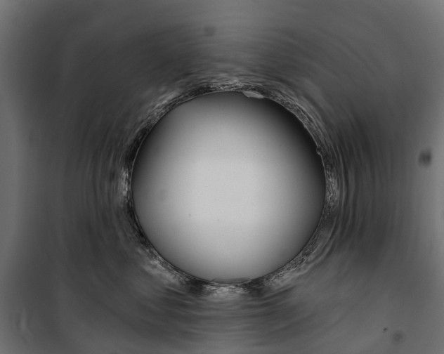 X0000099970621200806201403