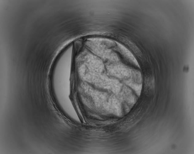 X0000099970628200806201402