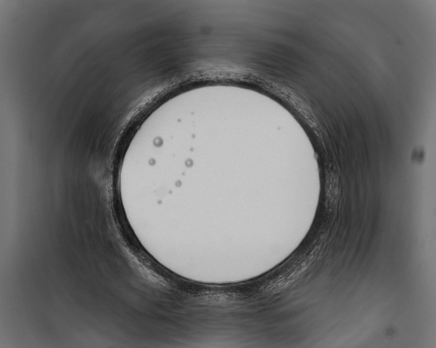 X0000099970629200806201403