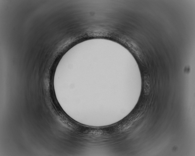 X0000099970631200806201403