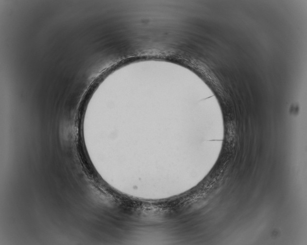 X0000099970632200806201403